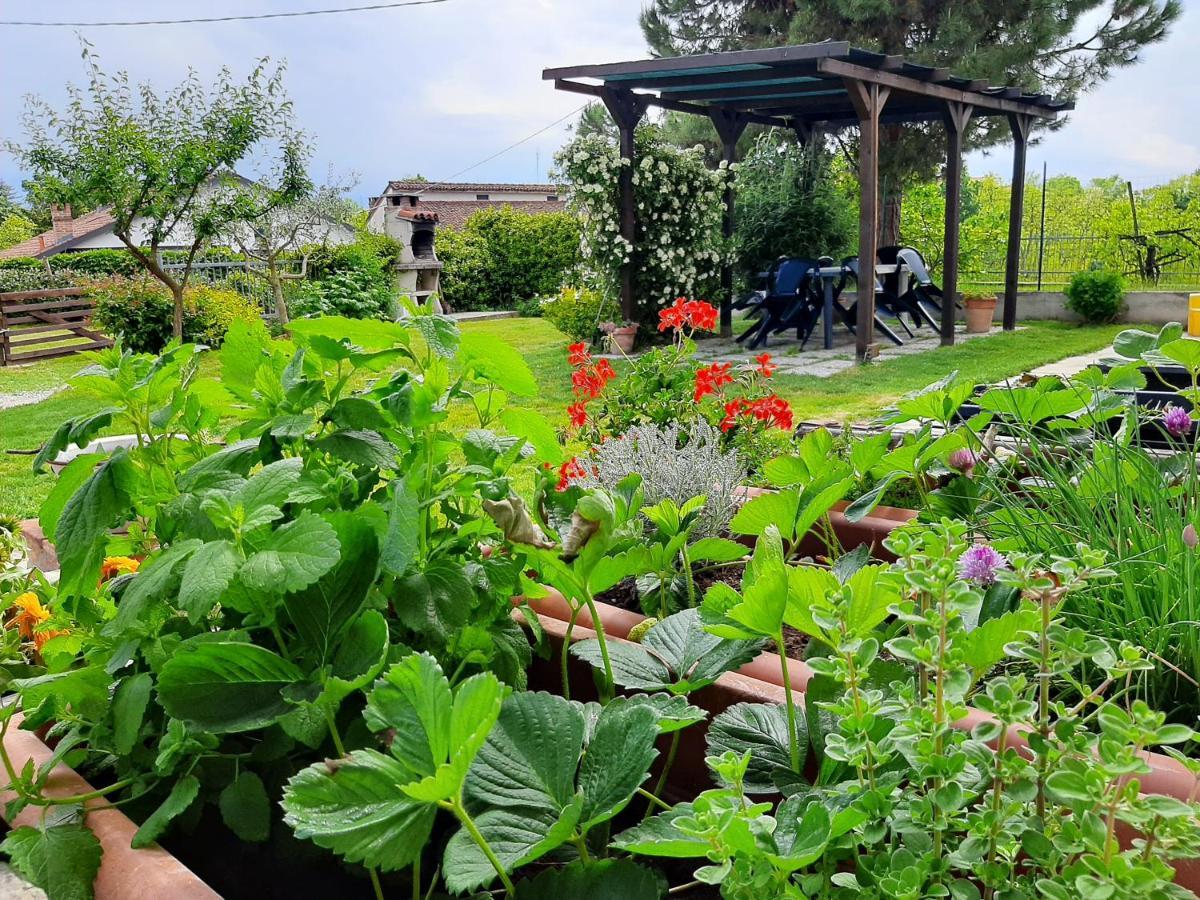 Cascina Teresina Monferrato Piscina Villa Cortazzone Luaran gambar