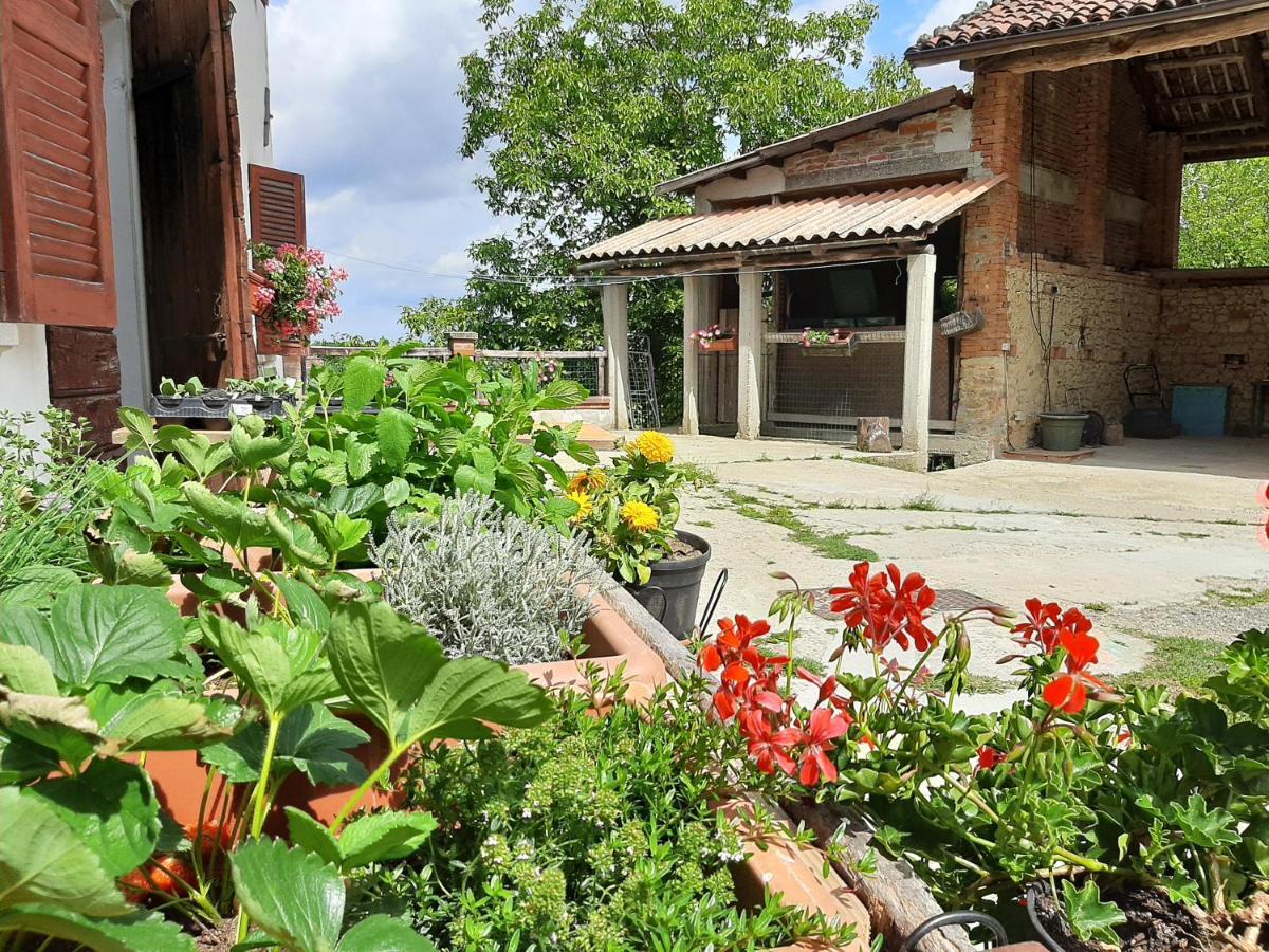 Cascina Teresina Monferrato Piscina Villa Cortazzone Luaran gambar