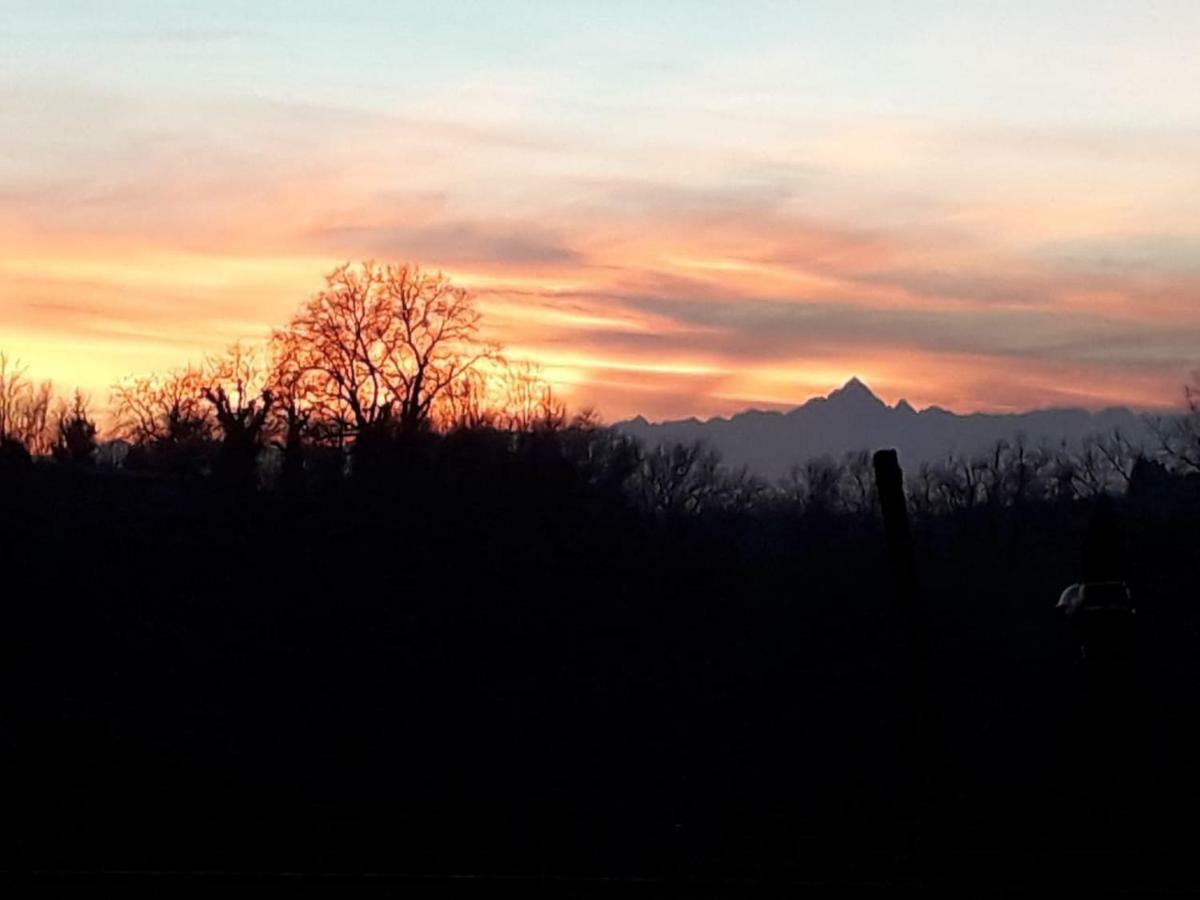 Cascina Teresina Monferrato Piscina Villa Cortazzone Luaran gambar
